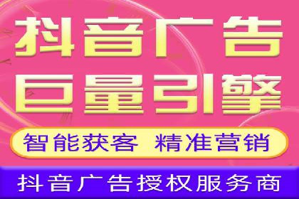 某大型企业利用信息流代理提升数据效率的实践